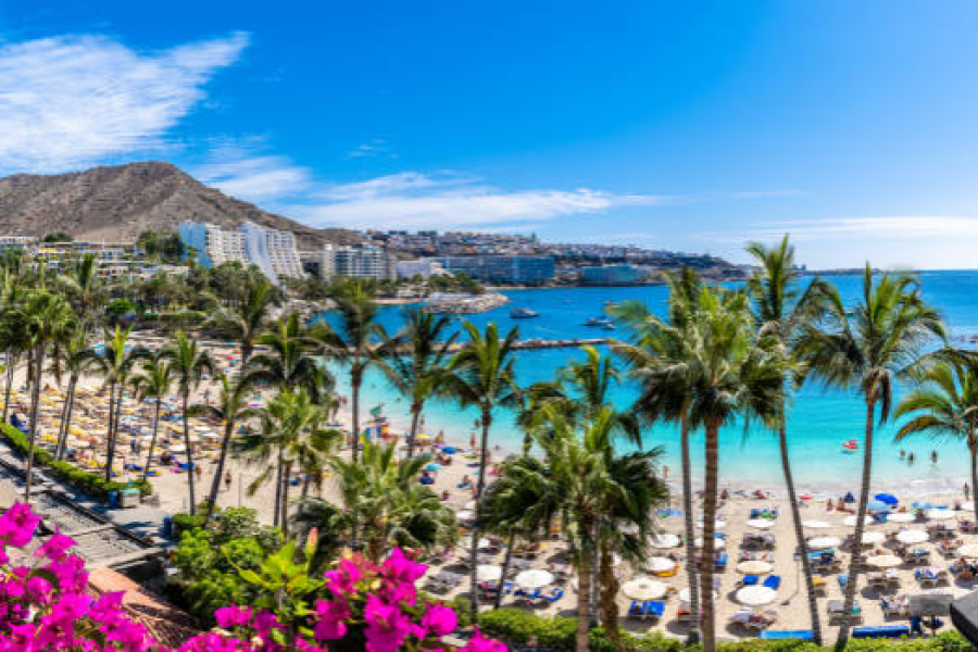 Gran Canarias con la CAM 2026