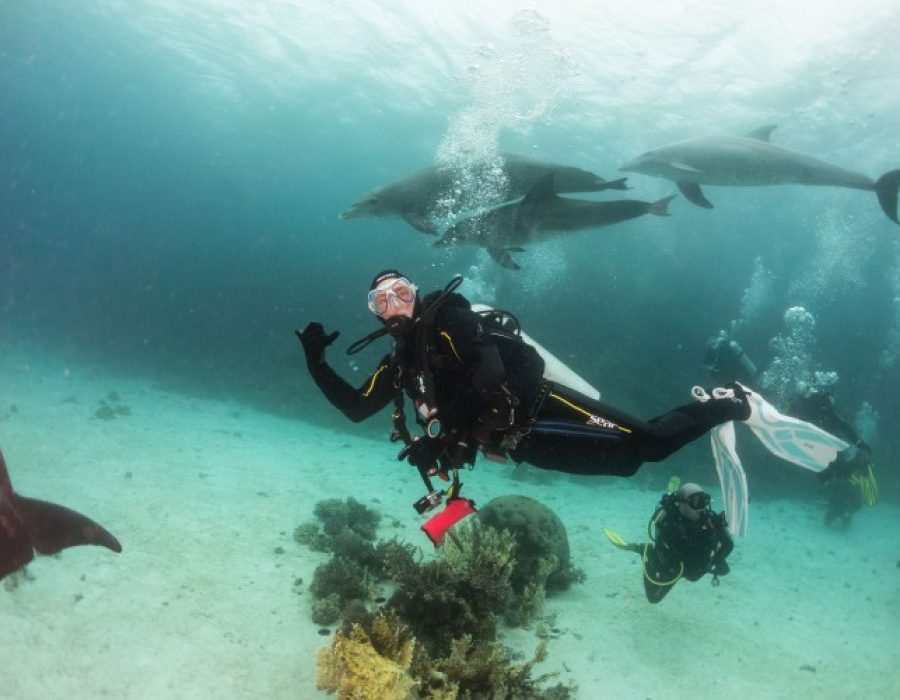 Viajes de buceo Mar Rojo | Eco&Dive | Escuela de Buceo | Málaga