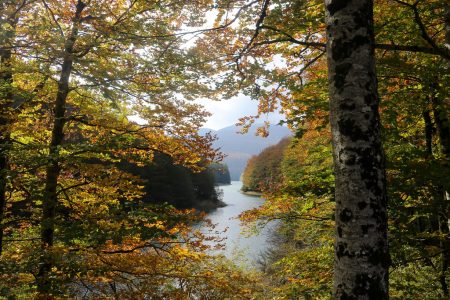 Cada viaje un gran recuerdo