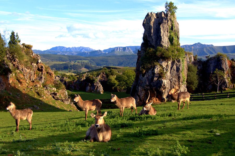 Cantabria con la CAM 2026