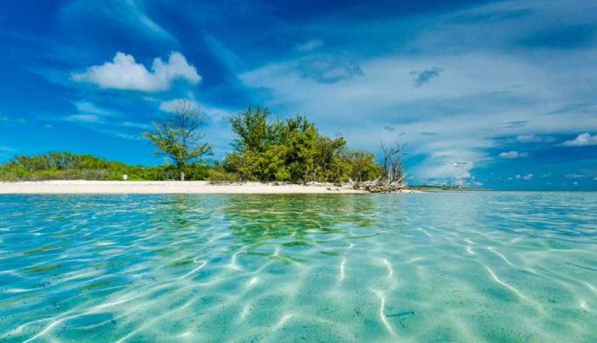 Cada viaje un gran recuerdo