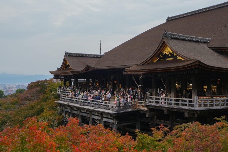 Japón en Otoño Rojo: Experiencia Momiji Exclusiva con TD Viajes & TUI