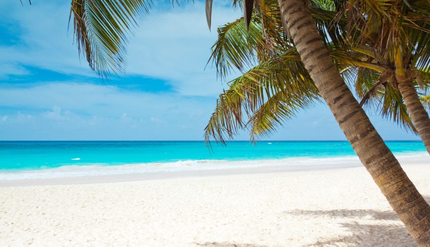 Cada viaje un gran recuerdo