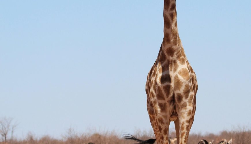 Cada viaje un gran recuerdo