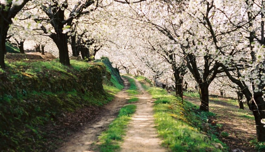 Cada viaje un gran recuerdo