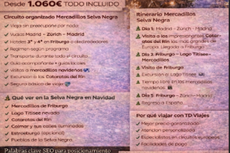 Mercadillos de Navidad en la Selva Negra – Viaje organizado 2026