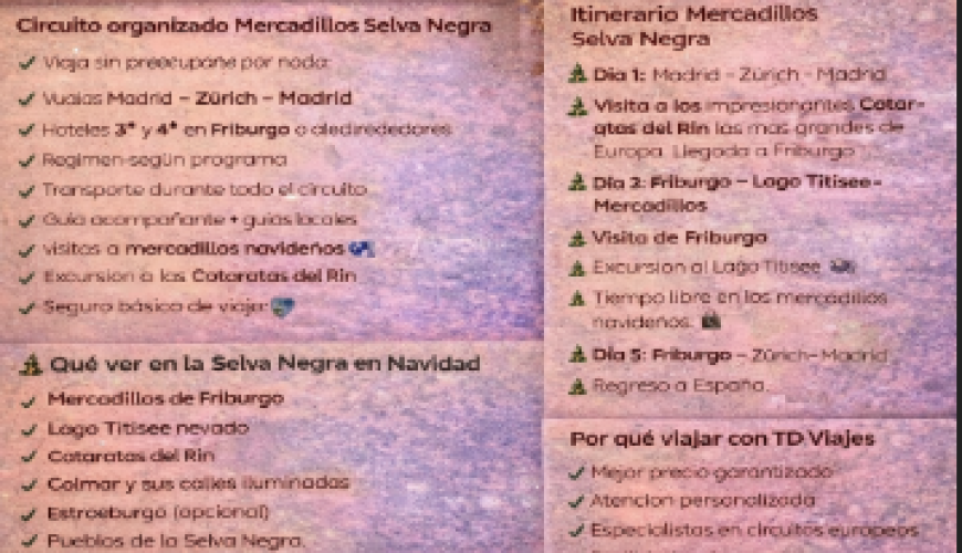 Mercadillos de Navidad en la Selva Negra – Viaje organizado 2026