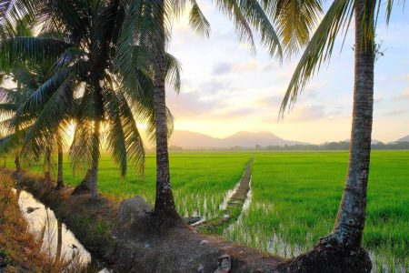 Cada viaje un gran recuerdo